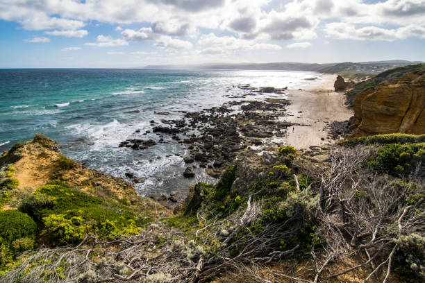 istock Coastline at Great Otway National Park 1205592490