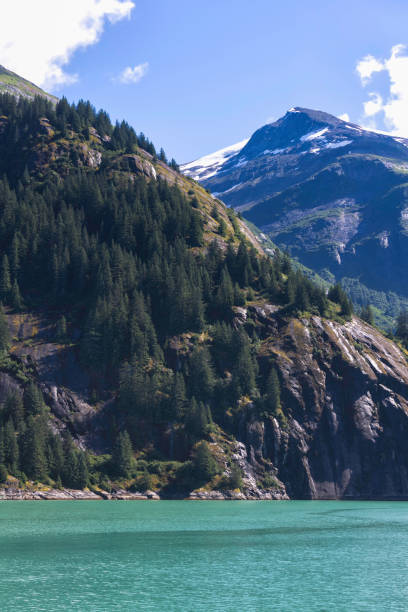 istock Alaska's Tracy Arm Fjord 1205596470