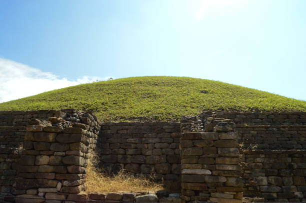 istock Pyramid in Tajin, Veracruz 1205596505
