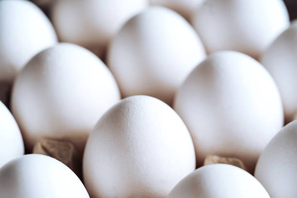 istock packing, box of white eggs isolated side view, closeup 1205597450