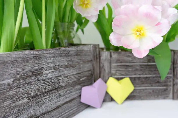 Photo of A bouquet of pink tulips in a wooden box and two paper hearts of yellow and lilac color on a white background.