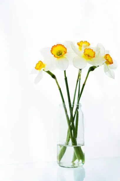 Photo of A bouquet of white narcissus flowers stands in a jar of water on a table on a white background.