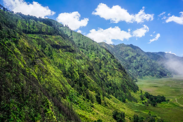 istock Mountain landscape on the way to the volcano Bromo 1205602754