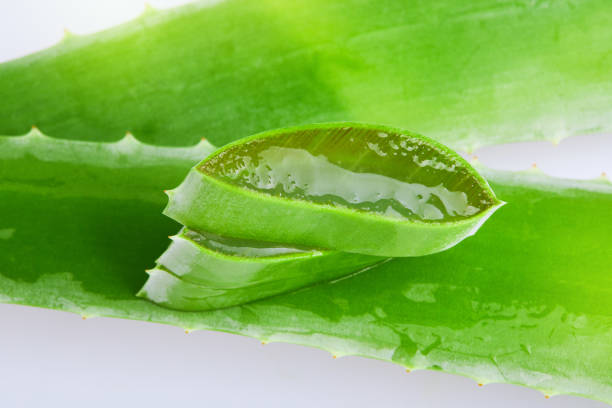istock Sliced fresh Aloe vera (Rannik, Sabur) isolated on white background. 1205603795