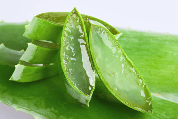 istock Sliced fresh Aloe vera (Rannik, Sabur) isolated on white background. 1205604370