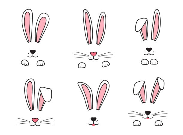 osterhase handgezeichnet, gesicht von kaninchen. ohren und schnauze mit schnurrbart, pfoten. vektor - hasenohren kostümierung stock-grafiken, -clipart, -cartoons und -symbole