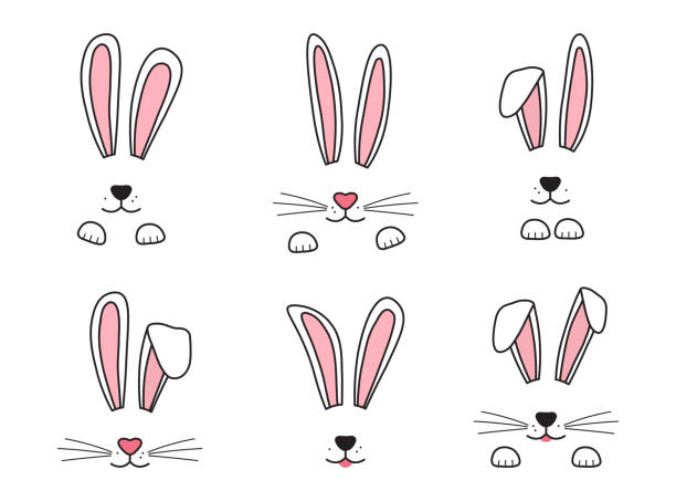 wielkanocny króliczek ręcznie rysowany, twarz królików. uszy i pysk z wąsami, łapami. wektor - nos zwierzęcia stock illustrations