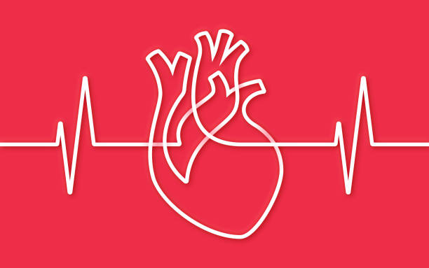 Heart Single Line Pulse Trace Design Human heart shape single line pulse trace heart health shape line design background. stress test stock illustrations