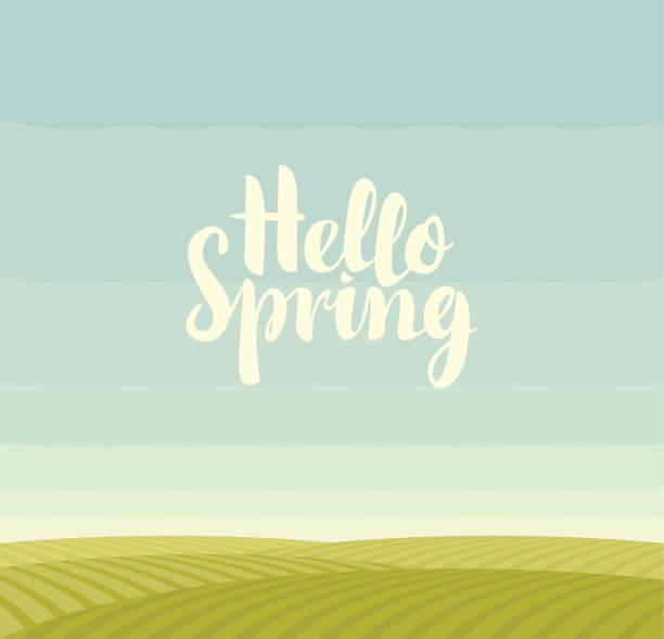 spring landscape with green fields and blue sky Vector cartoon landscape with green fields, blue sky and calligraphic inscription Hello spring. Decorative illustration or background in flat style. tussock stock illustrations