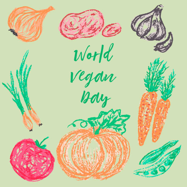 Child drawing. World Vegan Day Children's drawing wax crayons. World Vegan Day. Tasty and healthy. Onions, potatoes, garlic, pumpkin, carrots, peas, tomato white cabbage stock illustrations