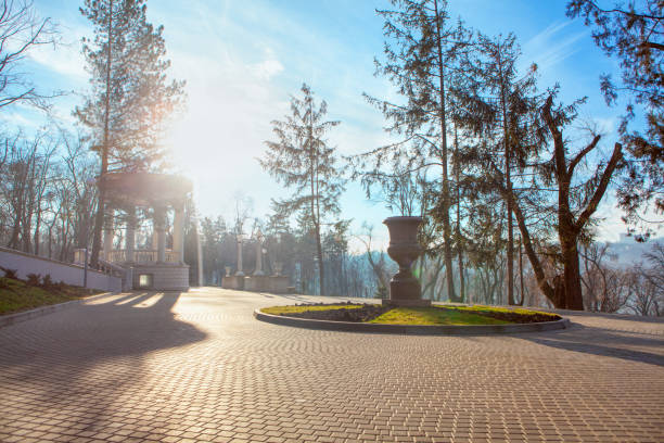 istock morning in the park 1205611686