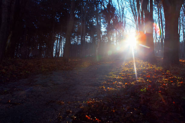sunbeam over the walking path in the park