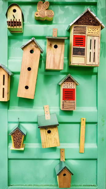 istock Birdhouses on the wall 1205614789