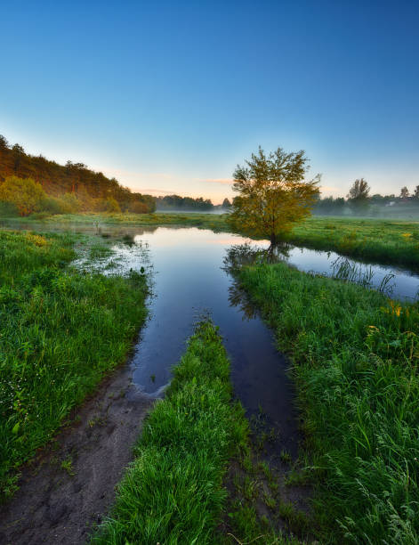istock Dawn in the river valley. morning fog 1205615865