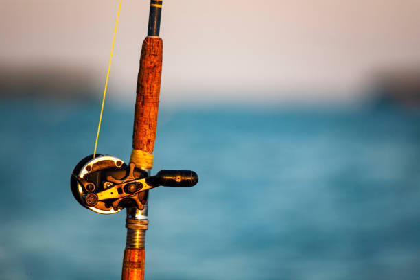 istock Vintage Fishing Rod 1205616264