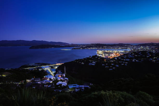 istock Wellington harbor cityscape at night after sunset 1205617770