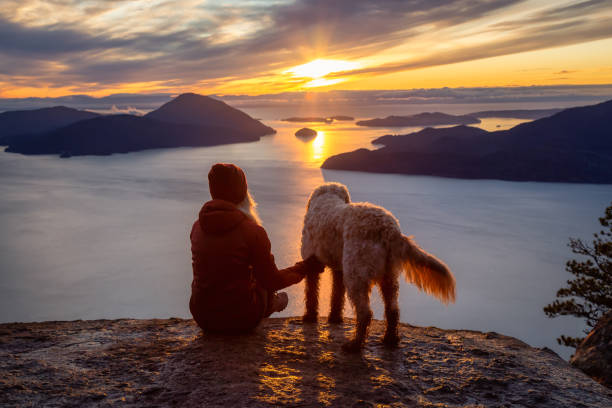 Adventurous Girl Hiking on top of a Mountain with a dog Adventurous Girl Hiking on top of a Mountain with a dog during a colorful sunset. Taken on Tunnel Bluffs Hike, near Vancouver and Squamish, British Columbia, Canada. inlet photos stock pictures, royalty-free photos & images