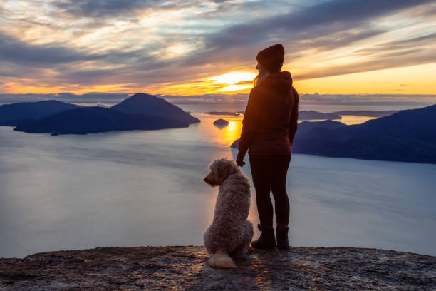 garota aventureira caminhando no topo de uma montanha com um cachorro - west coast living - fotografias e filmes do acervo