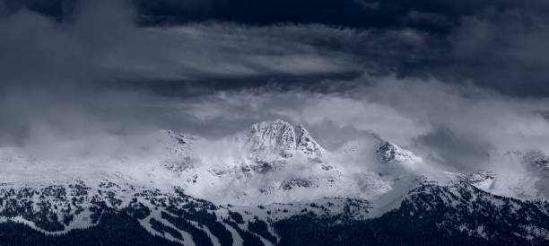 istock Black and White Canadian Landscape 1205618811
