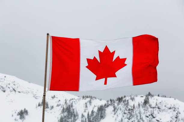 istock Canadian Flag in Nature 1205618820