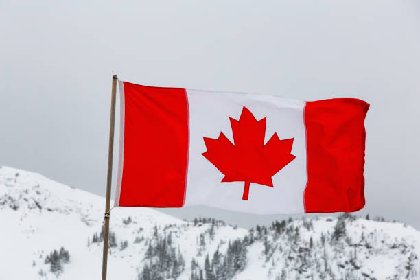 istock Canadian Flag in Nature 1205618883