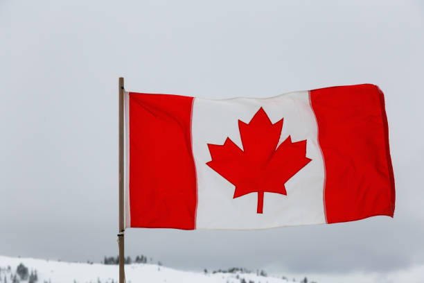 istock Canadian Flag in Nature 1205618991