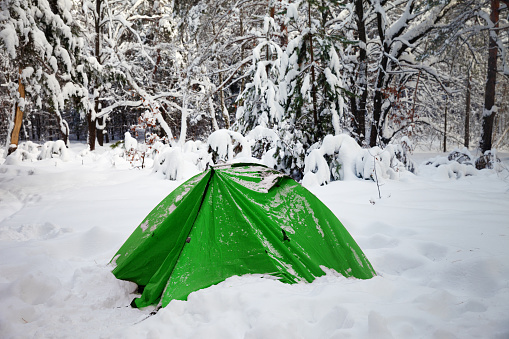 Green camping tent in snow at snowy winter forest after snowfall. Remote location.