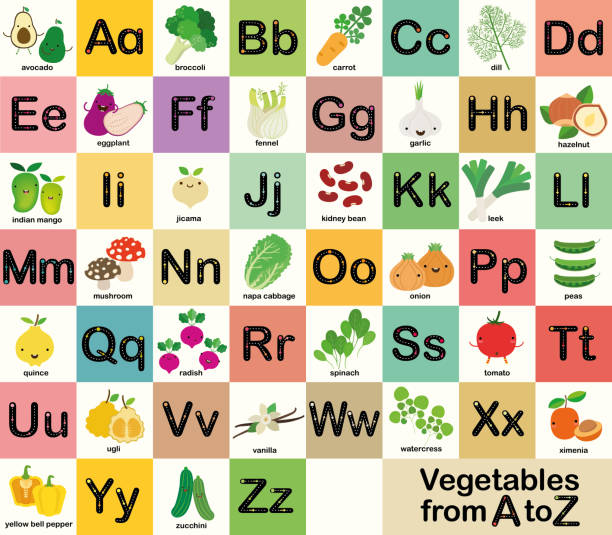 illustrations, cliparts, dessins animés et icônes de ensemble d’alphabet de légumes a-z pour des enfants, illustration de vecteur - alphabet vegetable food text