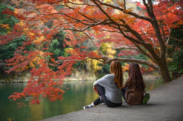 trip 45 Woman tourist traveller enjoy looks at the scenery view of river in autumn season change, visit and traveling in japan bamboo bridge stock pictures, royalty-free photos & images