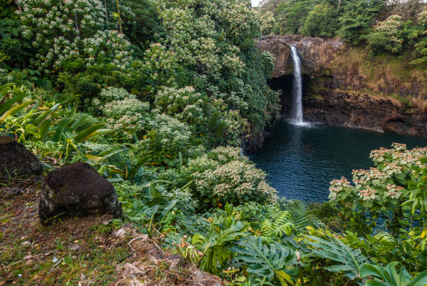 istock Long shot on Rainbow falls near Hilo, Hawaii, USA. 1205630072