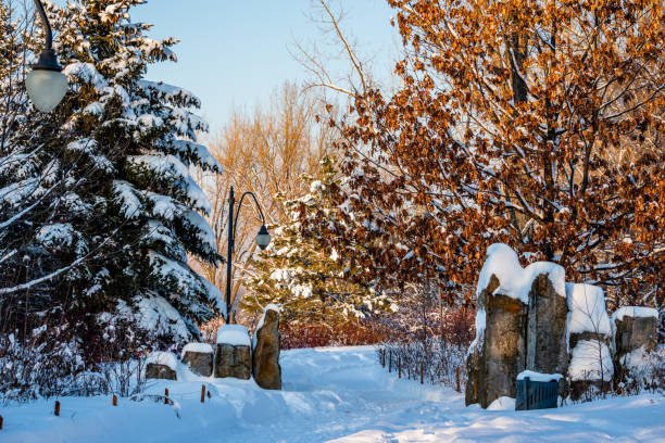 istock City park after the snowfall 1205640664