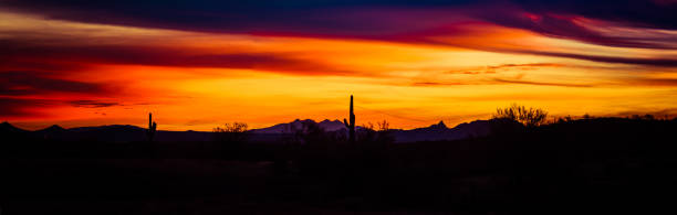 imagen panorámica de una puesta de sol sobre el sonora - photography north america cactus plant fotografías e imágenes de stock