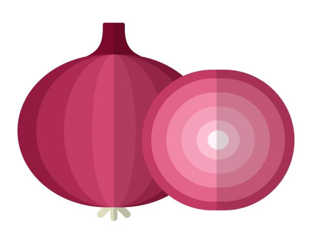 Red onion with piece of onion vector icon flat isolated Whole red onion and a piece of onion nearby vector flat icon isolated on white onion stock illustrations