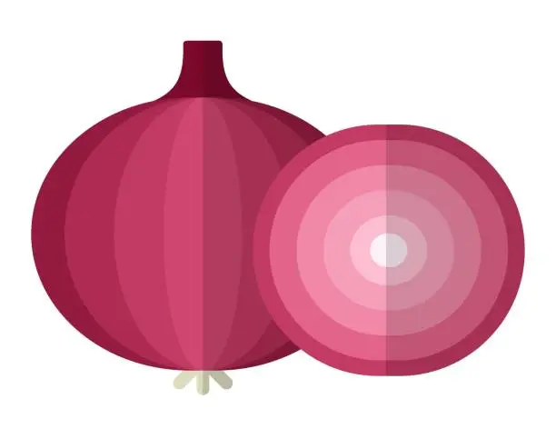 Vector illustration of Red onion with piece of onion vector icon flat isolated