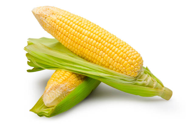 istock Sweet corns isolated on white with clipping path. 1205650989