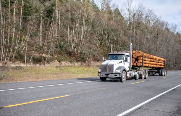 istock Big rig white day cab semi truck transporting long trees logs on semi trailer running on the road with forest on the hill 1205654785
