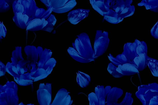 istock Beautiful spring flowers tulips. Vintage floral seamless pattern. Blue on black. 1205655834