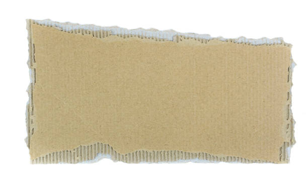 istock Torn pieces recycled cardboard isolated on white background. Banner. Copy space 1205662437