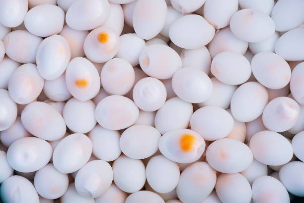 istock Hard boiled eggs - Thai street food. 1205663559