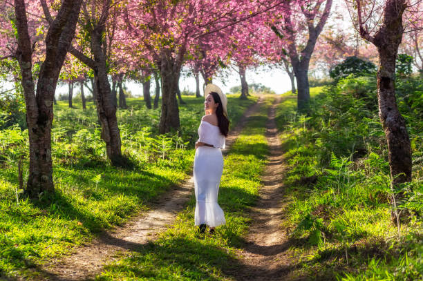 istock Beautiful woman in Cherry Blossom. 1205663708