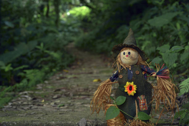 istock Cutie scarecrow in front of the forest trail 1205665863