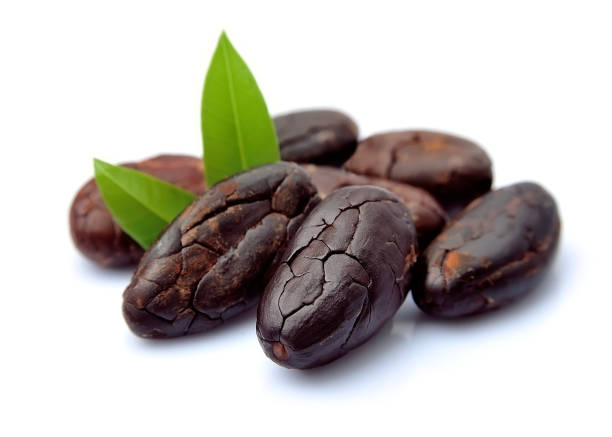 Cacao beans Cocoa beans with leaves closeup on white backgrounds. cocoa bean stock pictures, royalty-free photos & images