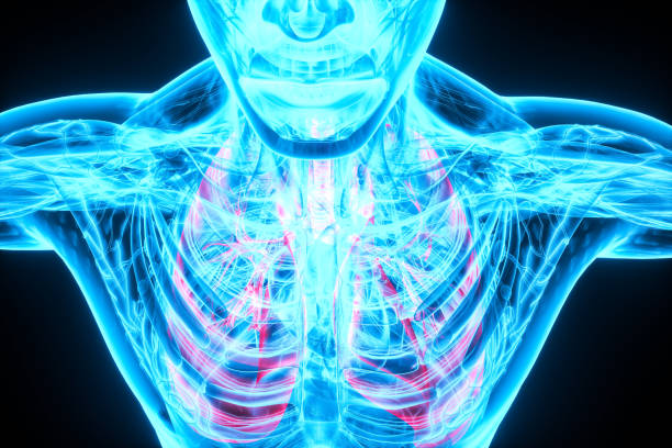 istock Pneumonia coronavirus x-ray lung 1205668093