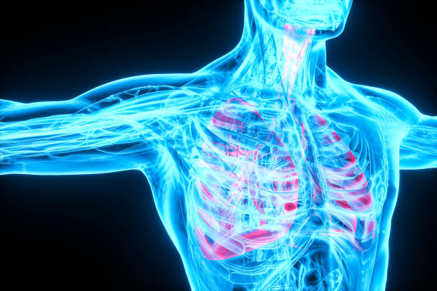 Pneumonia coronavirus