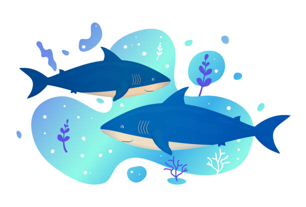 istock Two sharks in the sea. Ocean fish. Underwater marine wild life. Vector illustration. 1205669348