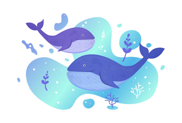 istock Two whales in the sea. Ocean fish. Underwater marine wild life. Vector illustration. 1205669370