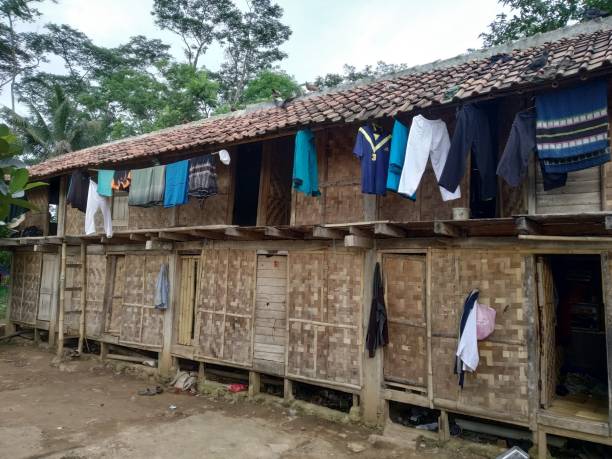 istock simple boarding school building with wood 1205674124