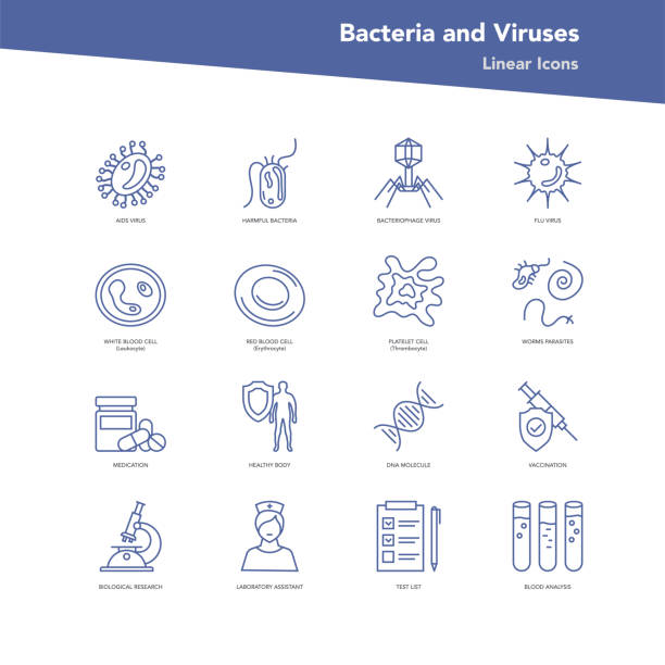 Vector set of linear icons - Bacteria and viruses Vector set of linear outline icons. Various bacteria, viruses, diagnostic procedures for protection with a blood test. Symbols for microbiology and medical research human cells stock illustrations