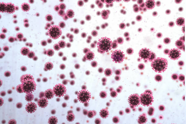 coronavirus - blood cell formation stock-fotos und bilder