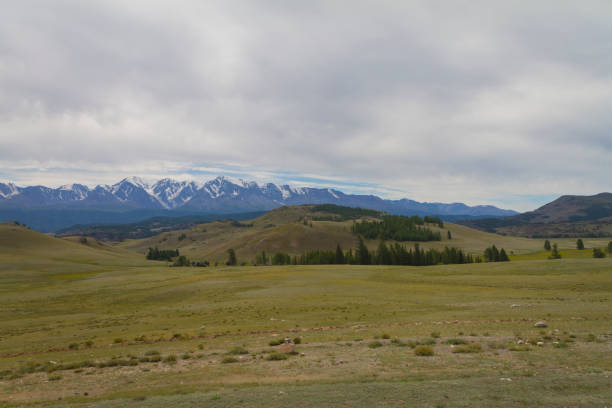 istock Snow top in Altai mountains. Bottom view. 1205682065
